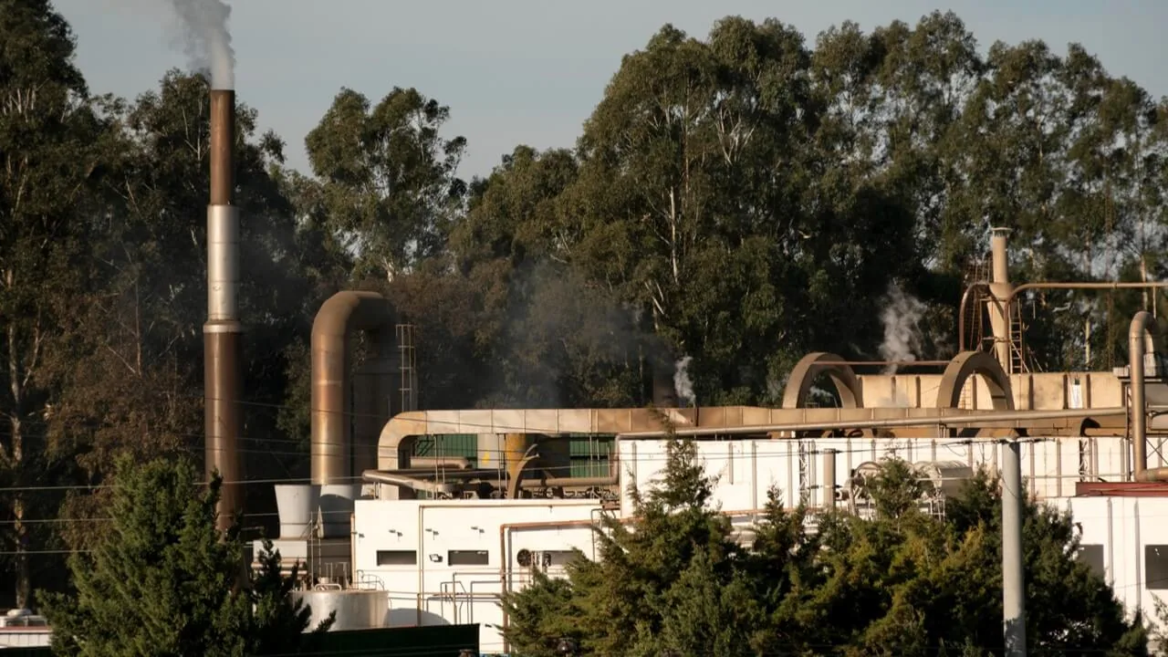 Empowering your energy transition—Qlean Tech is your trusted biomass partner.