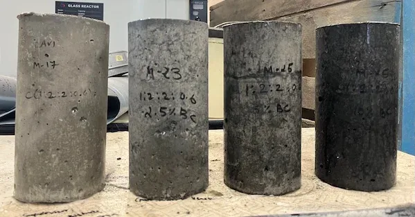 Powdered biochar prepared for blending into cement mixes