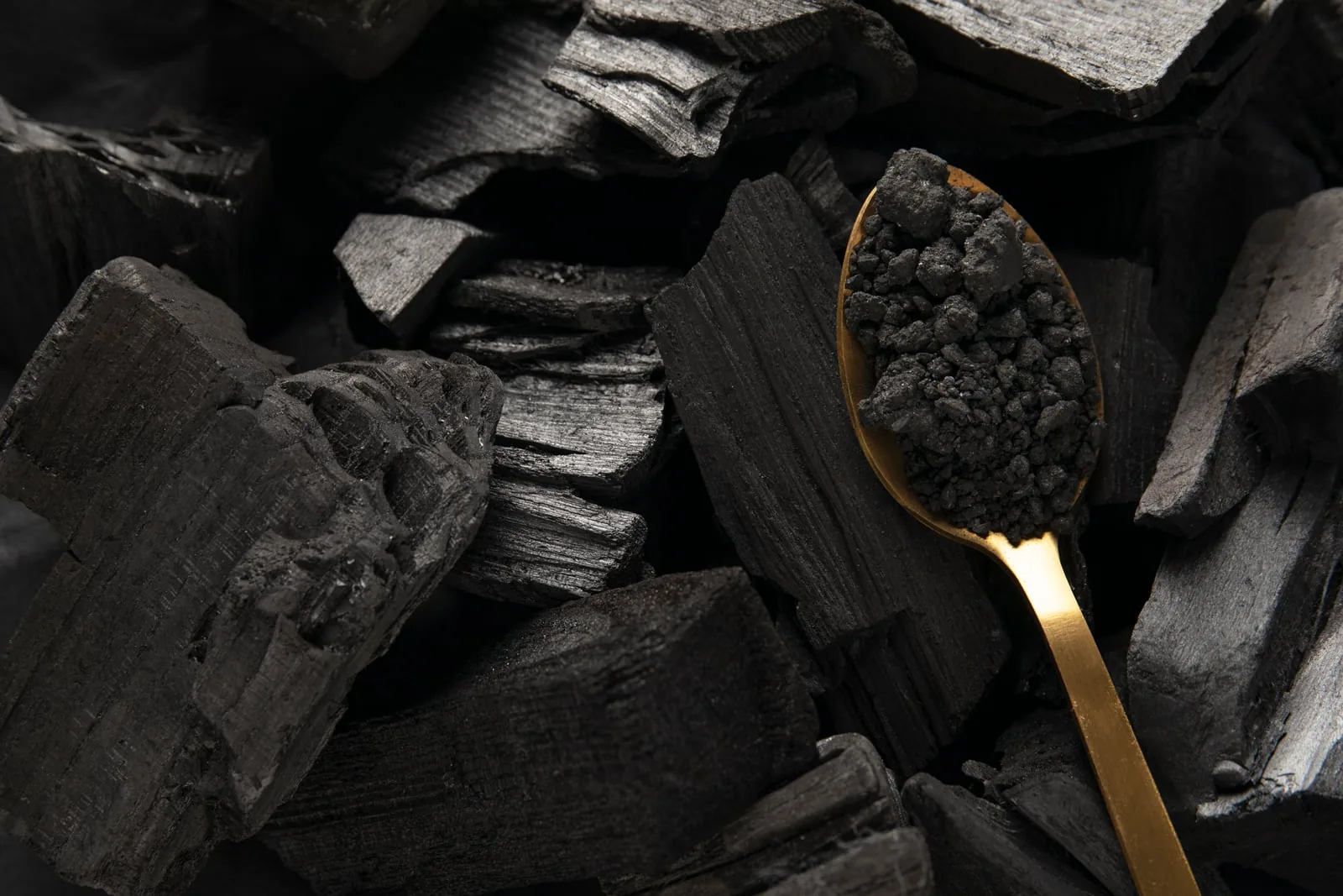 Lumps of black biomass charcoal with a spoon of granular biochar, two solid products of pyrolysis