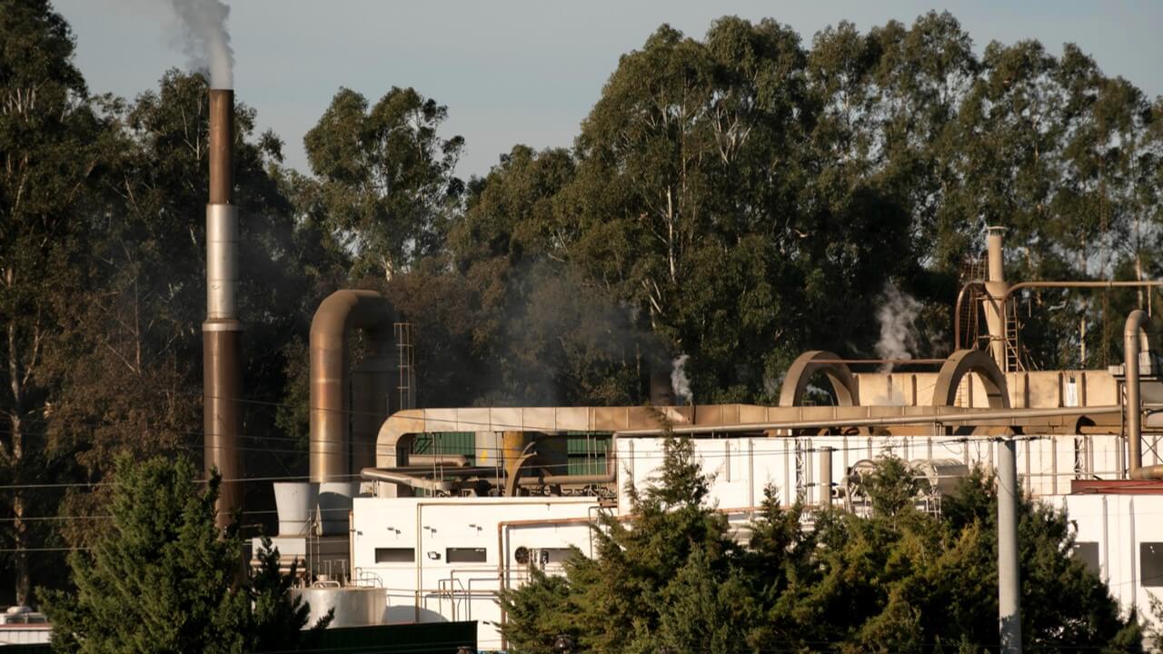 Empowering your energy transition—Qlean Tech is your trusted biomass partner.