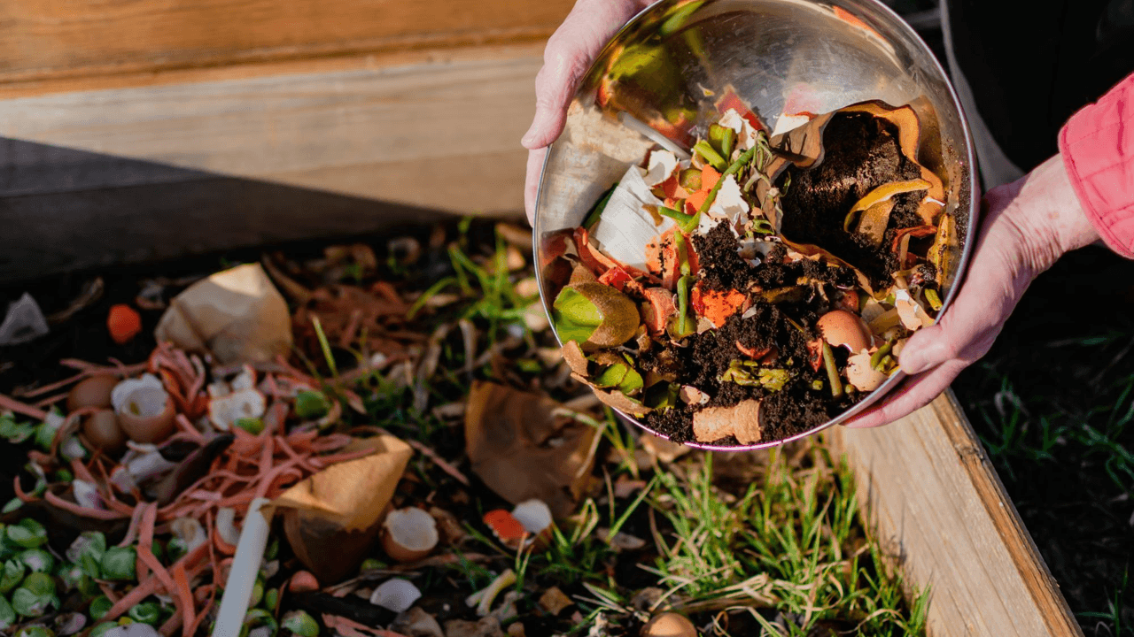 Biochar improving compost quality and blended growing media for better soil performance.